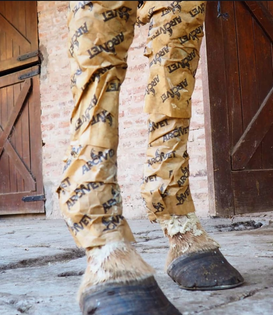 Patas envueltas con papel Arcivet