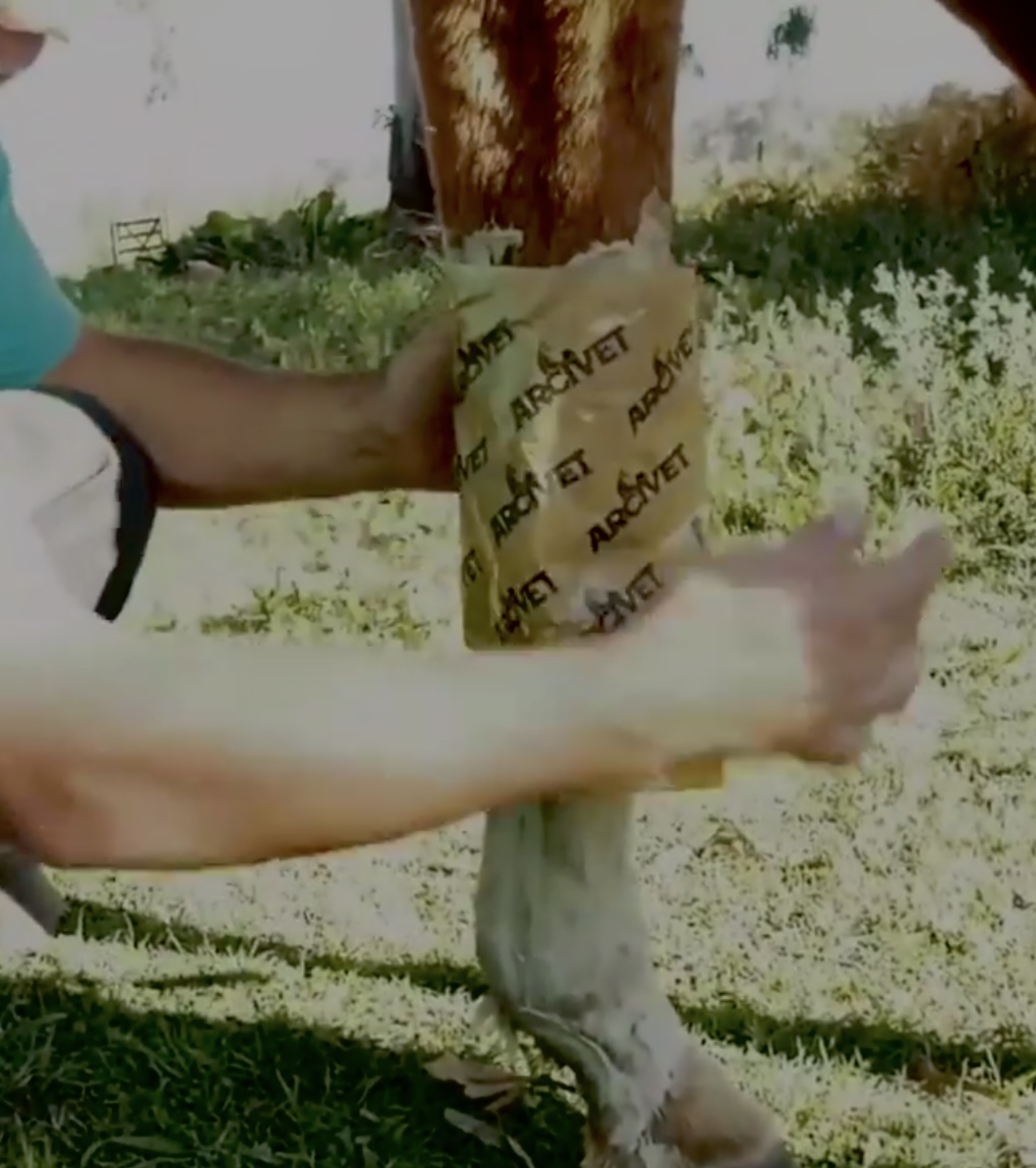 Vendaje con papel